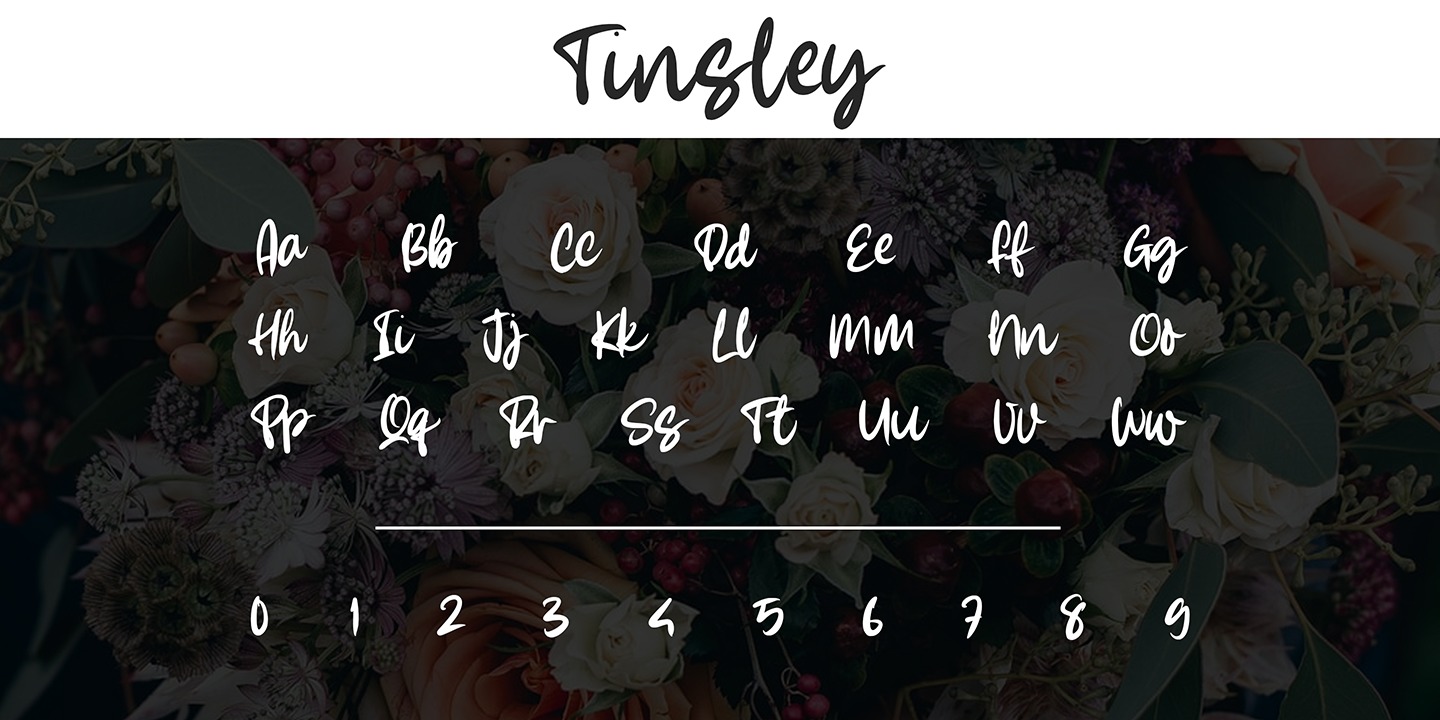 Пример шрифта Tinsley #2